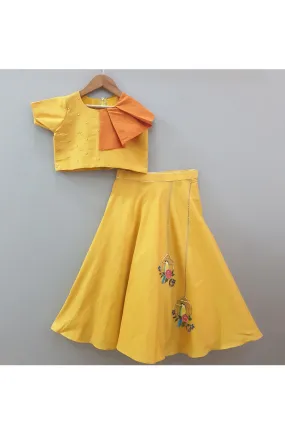 Yellow hand embroidered and painted bird cage top with skirt