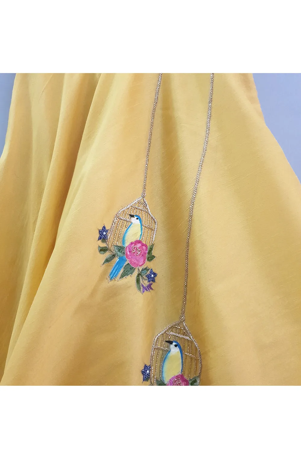 Yellow hand embroidered and painted bird cage top with skirt