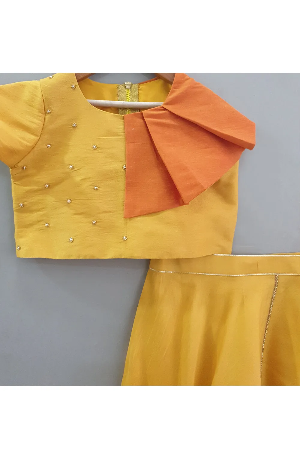 Yellow hand embroidered and painted bird cage top with skirt